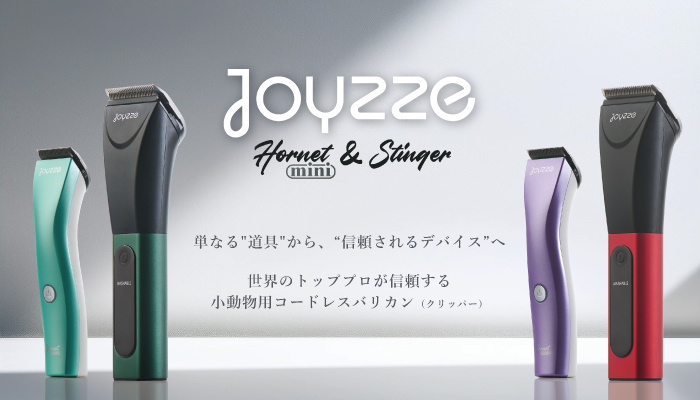 Joyzze