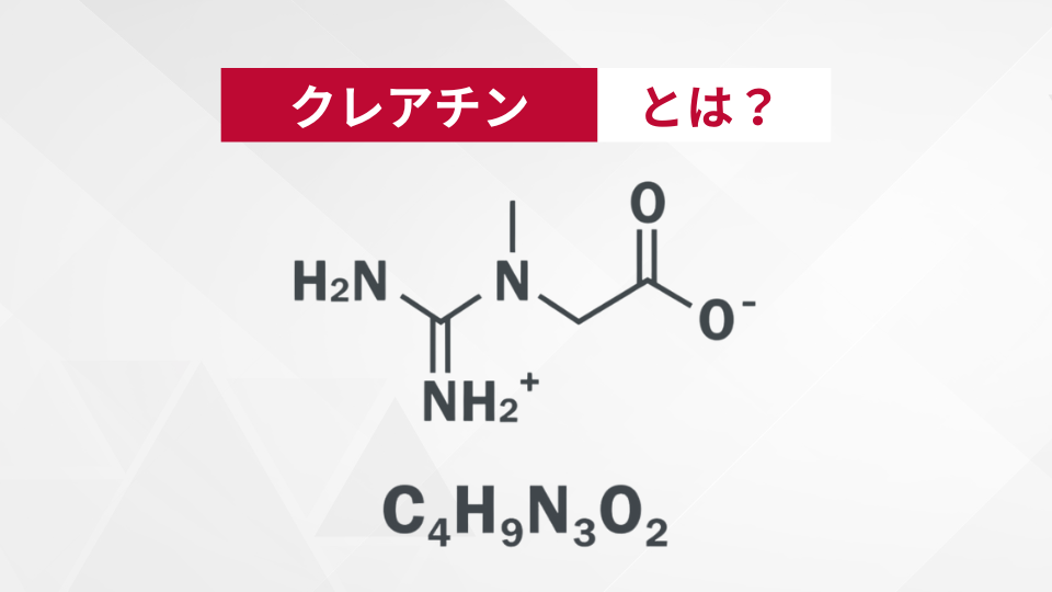 クレアチンとは