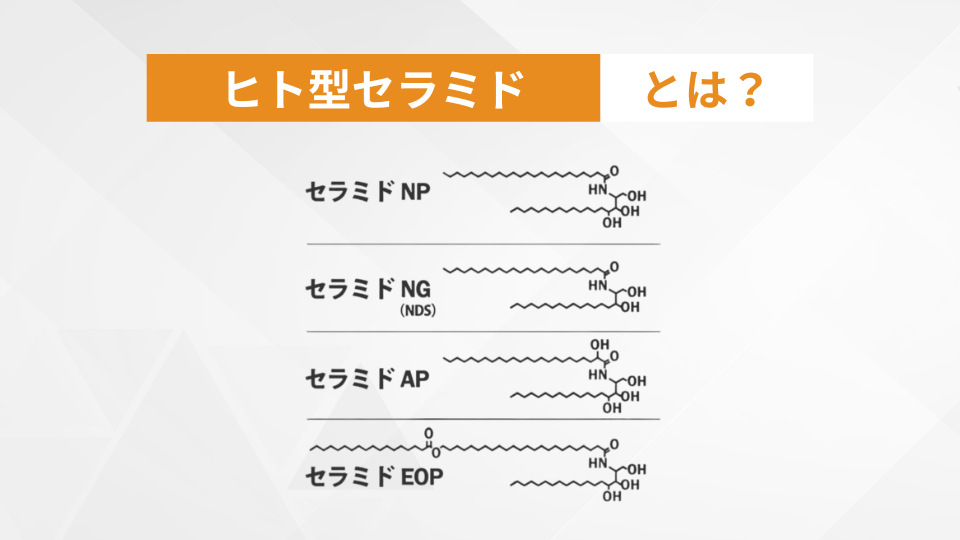 ヒト型セラミドについて