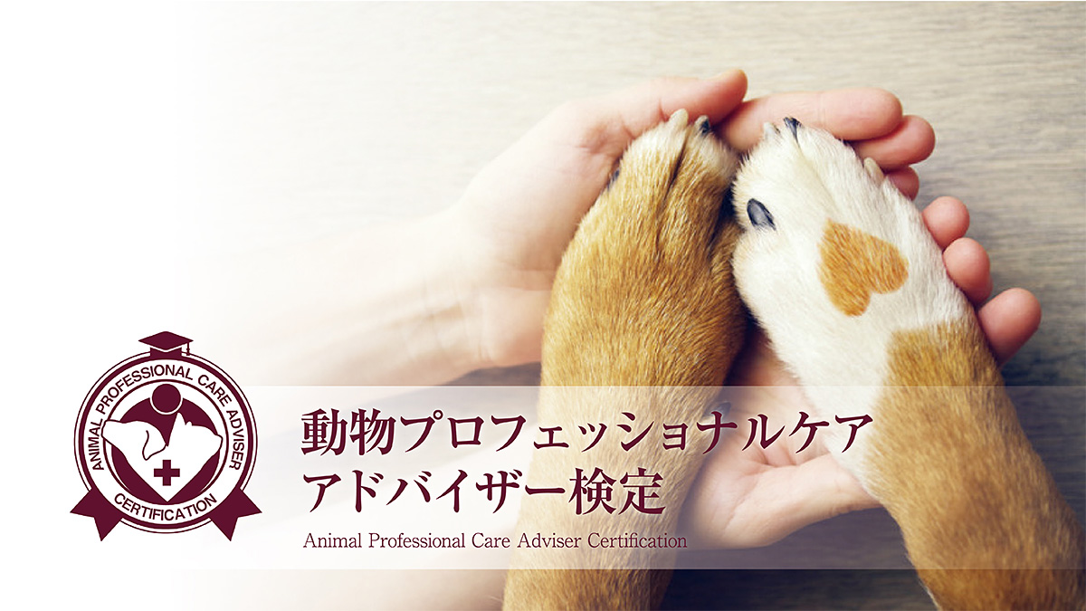 動物プロフェッショナルケアアドバイザー検定