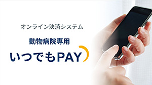 いつでもPAY