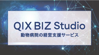 QIX BIZ Sutudio