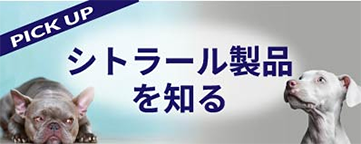 シトラール製品を知る