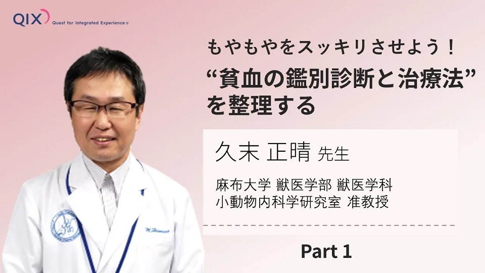 【セミナー】『もやもやをスッキリさせよう！“貧血の鑑別診断と治療法”を整理する Part1』