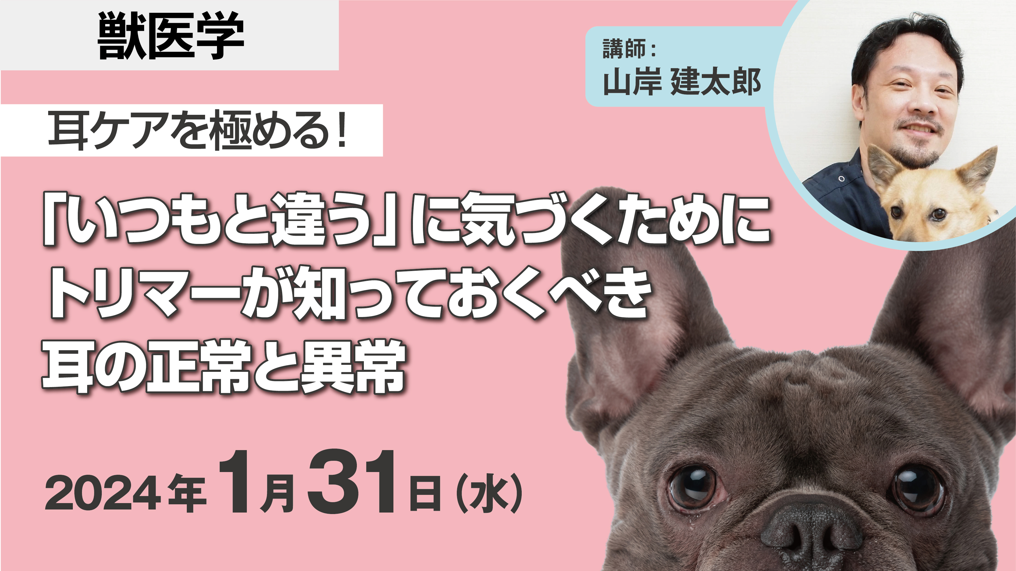 耳ケアを極める！『いつもと違う』に気づくためにトリマーが知っておくべき耳の正常と異常