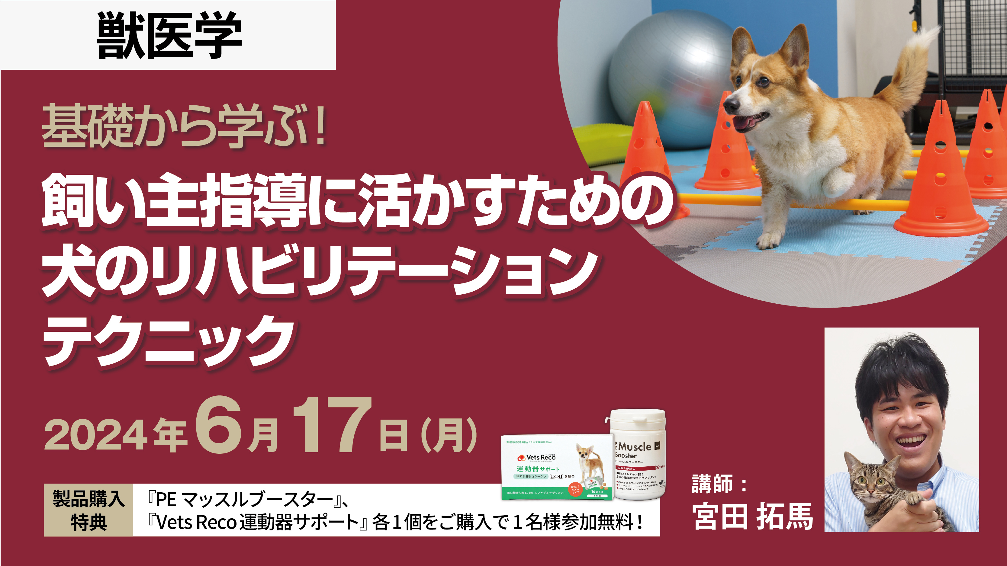 基礎から学ぶ！飼い主指導に活かすための犬のリハビリテーションテクニック